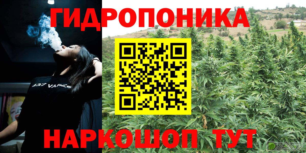 Конопля AK-47  Бошки Шишки индика  Вход с VPN  Шелехов 